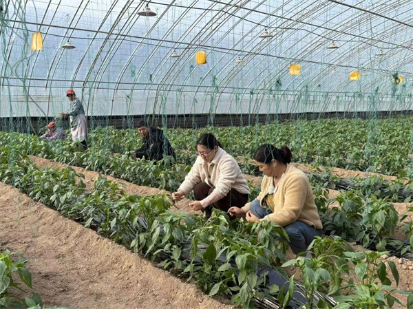 微信图片_2025-10-20_082400_664.jpg 微信图片_2025-10-20_082400_664.jpg