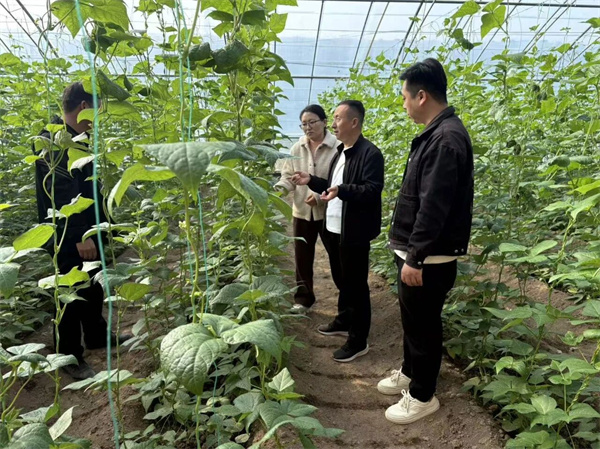 微信图片_2025-10-20_082405_057.jpg 微信图片_2025-10-20_082405_057.jpg