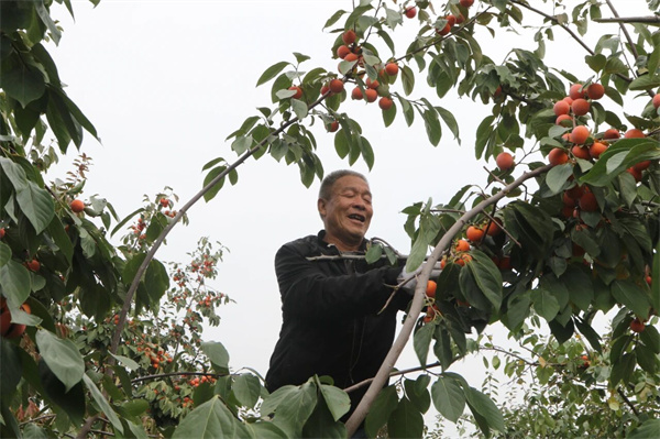 微信图片_2025-10-20_082411_025.jpg 微信图片_2025-10-20_082411_025.jpg