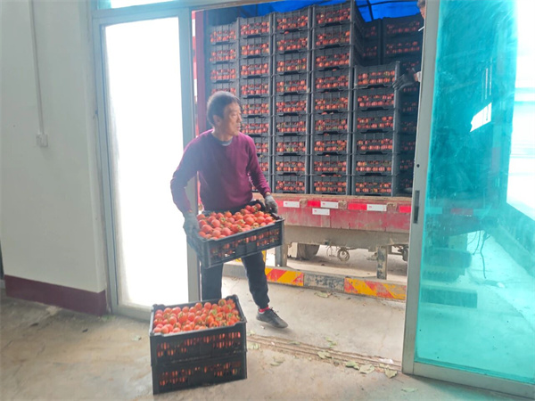 微信图片_2025-10-20_082414_584.jpg 微信图片_2025-10-20_082414_584.jpg