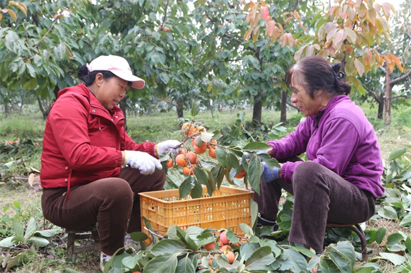 微信图片_2025-10-20_082419_024.jpg 微信图片_2025-10-20_082419_024.jpg