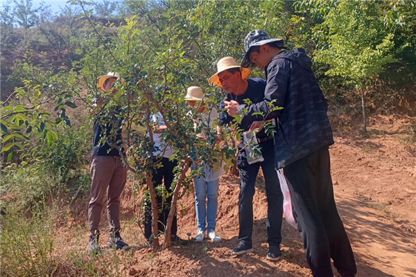 640 (13).png 640 (13).png