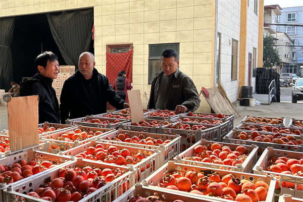 微信图片_20251029082226_副本.png 微信图片_20251029082226_副本.png