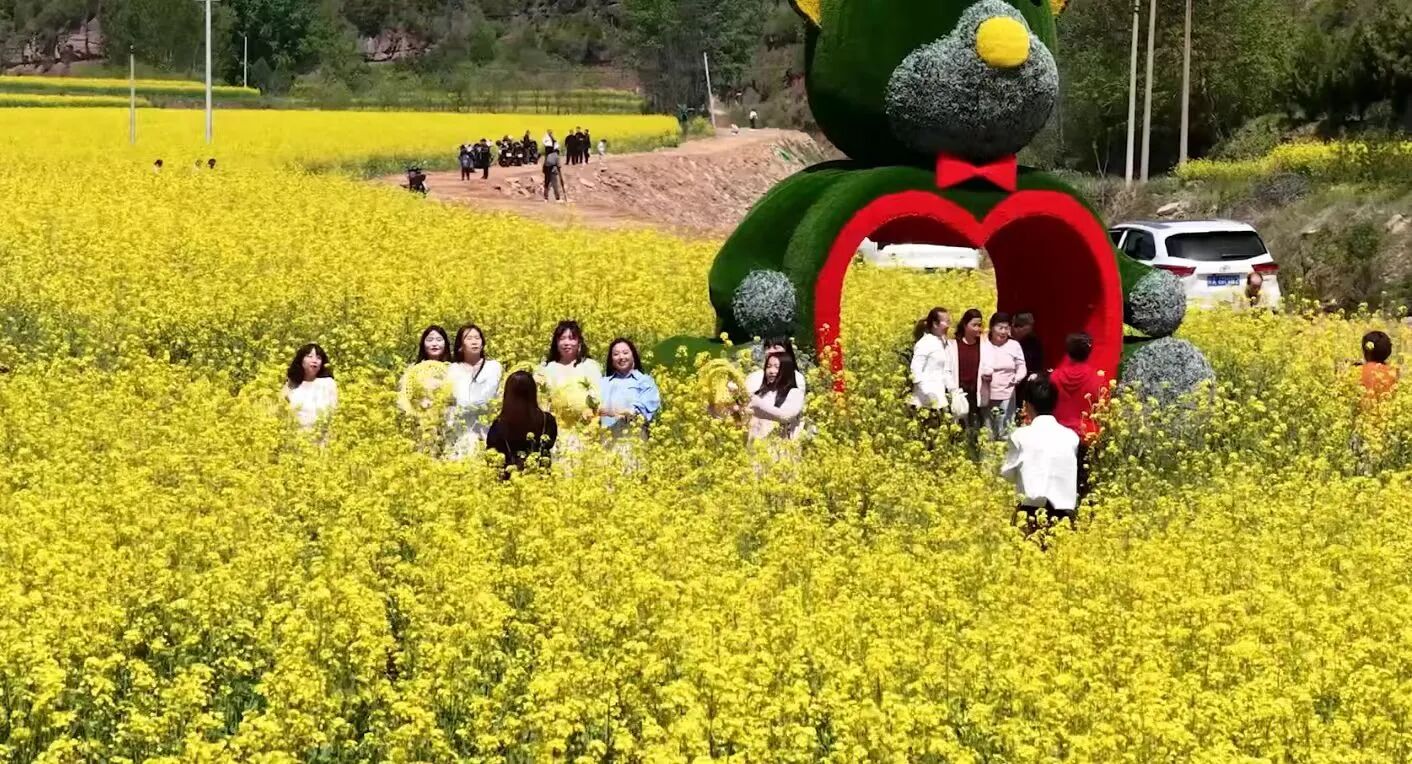 4.jpg 4.jpg