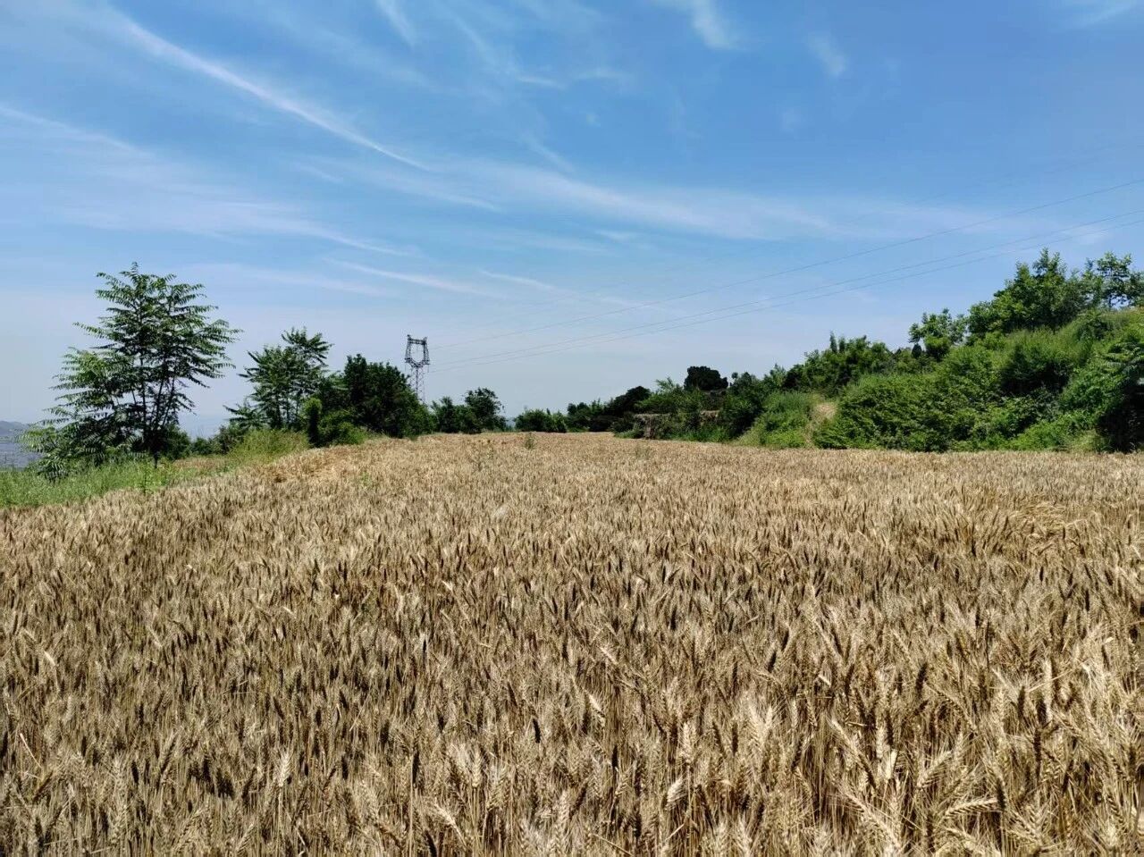 ΢��ͼƬ_20260616104508.jpg