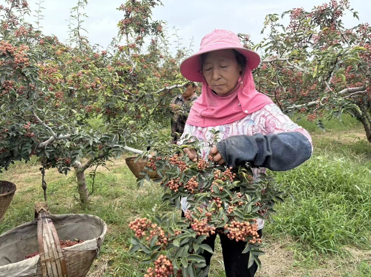 微信图片_20260824102431.jpg 微信图片_20260824102431.jpg